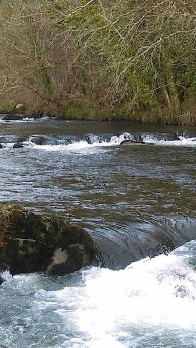 Stunning 3 Bed Riverside Cabin In Snowdonia Caeathro Bagian luar foto