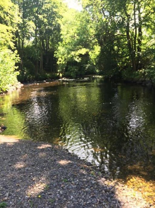 Stunning 3 Bed Riverside Cabin In Snowdonia Caeathro Bagian luar foto