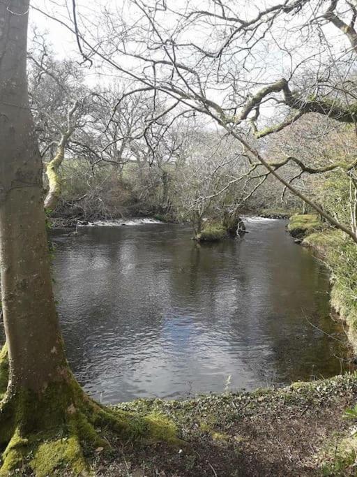 Stunning 3 Bed Riverside Cabin In Snowdonia Caeathro Bagian luar foto