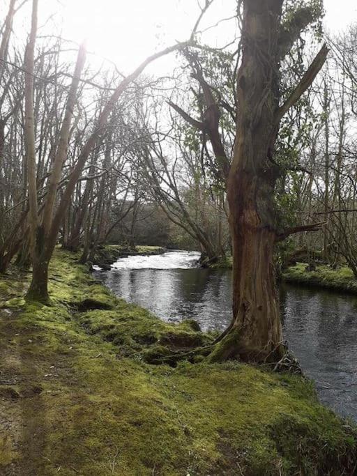 Stunning 3 Bed Riverside Cabin In Snowdonia Caeathro Bagian luar foto